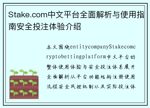 Stake.com中文平台全面解析与使用指南安全投注体验介绍